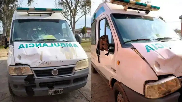 Una ambulancia chocó un caballo en la ruta y el Intendente pidió tolerancia cero con los dueños
