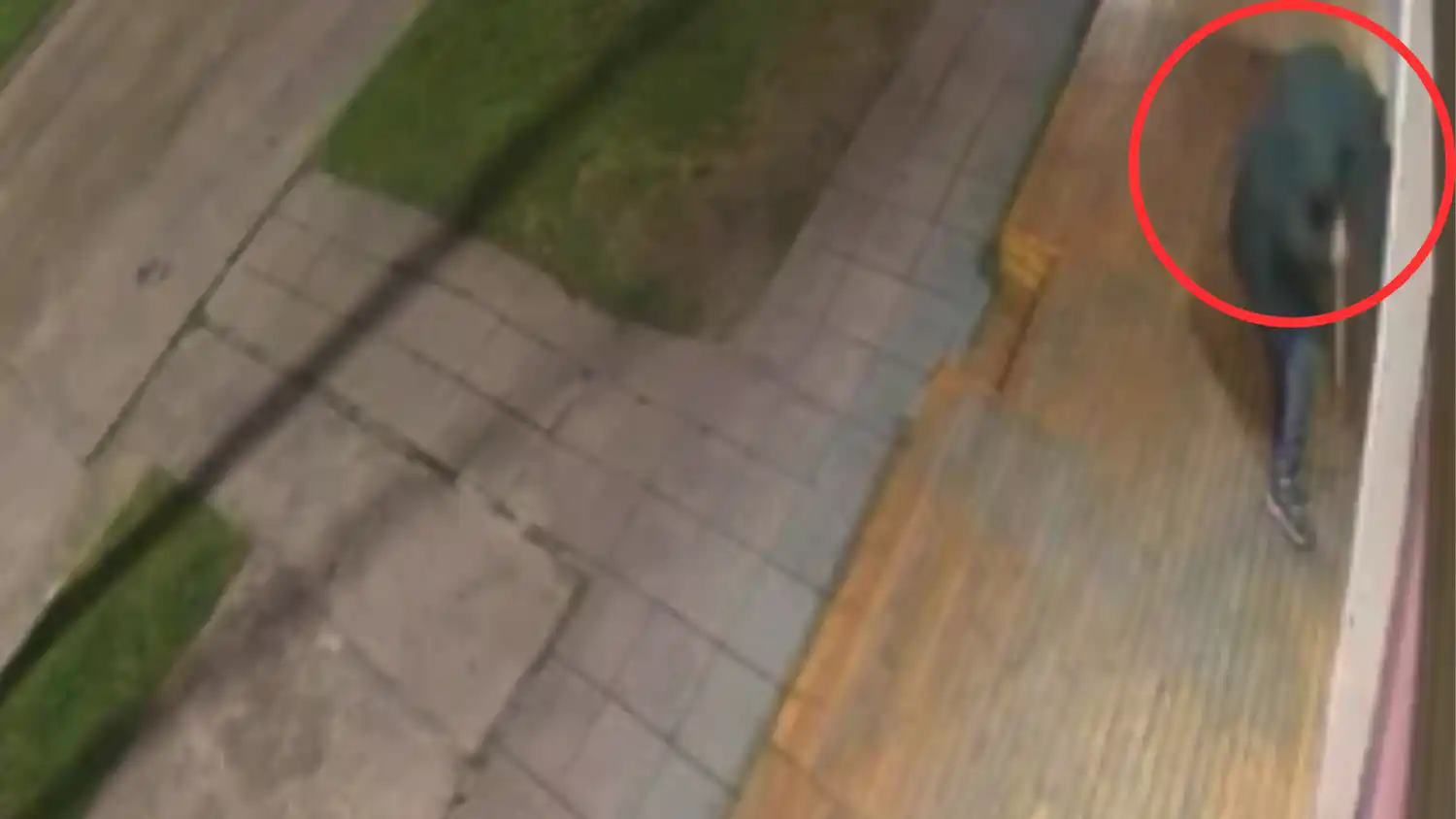 Imágenes captadas por las cámaras de seguridad