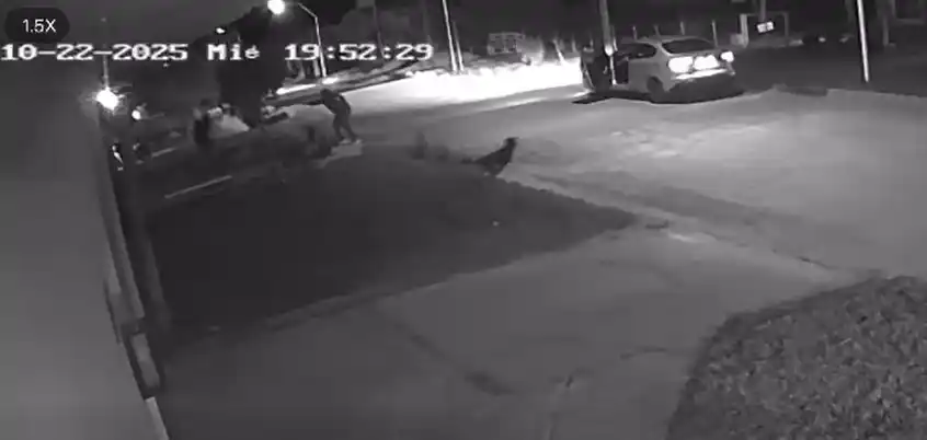 Las cámaras de seguridad captaron el momento exacto del ataque.