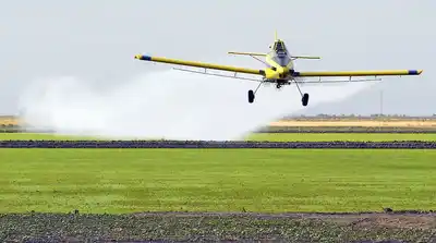 Se dio curso a un amparo colectivo ambiental contra las fumigaciones cerca de zonas urbanas en Paraná