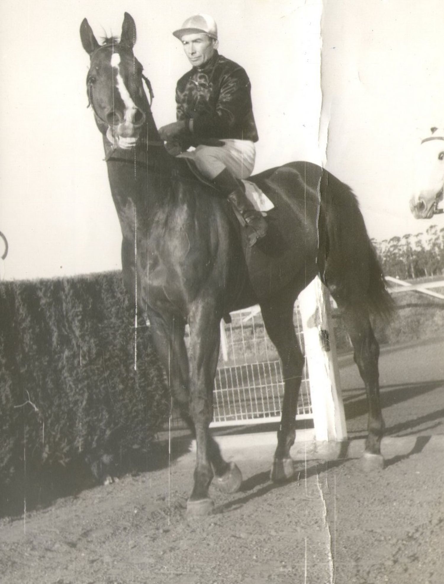 FOTO FOTOTECA DIGITAL DE CIENCIAS HUMANAS Vidal, en sus épocas de jockey.