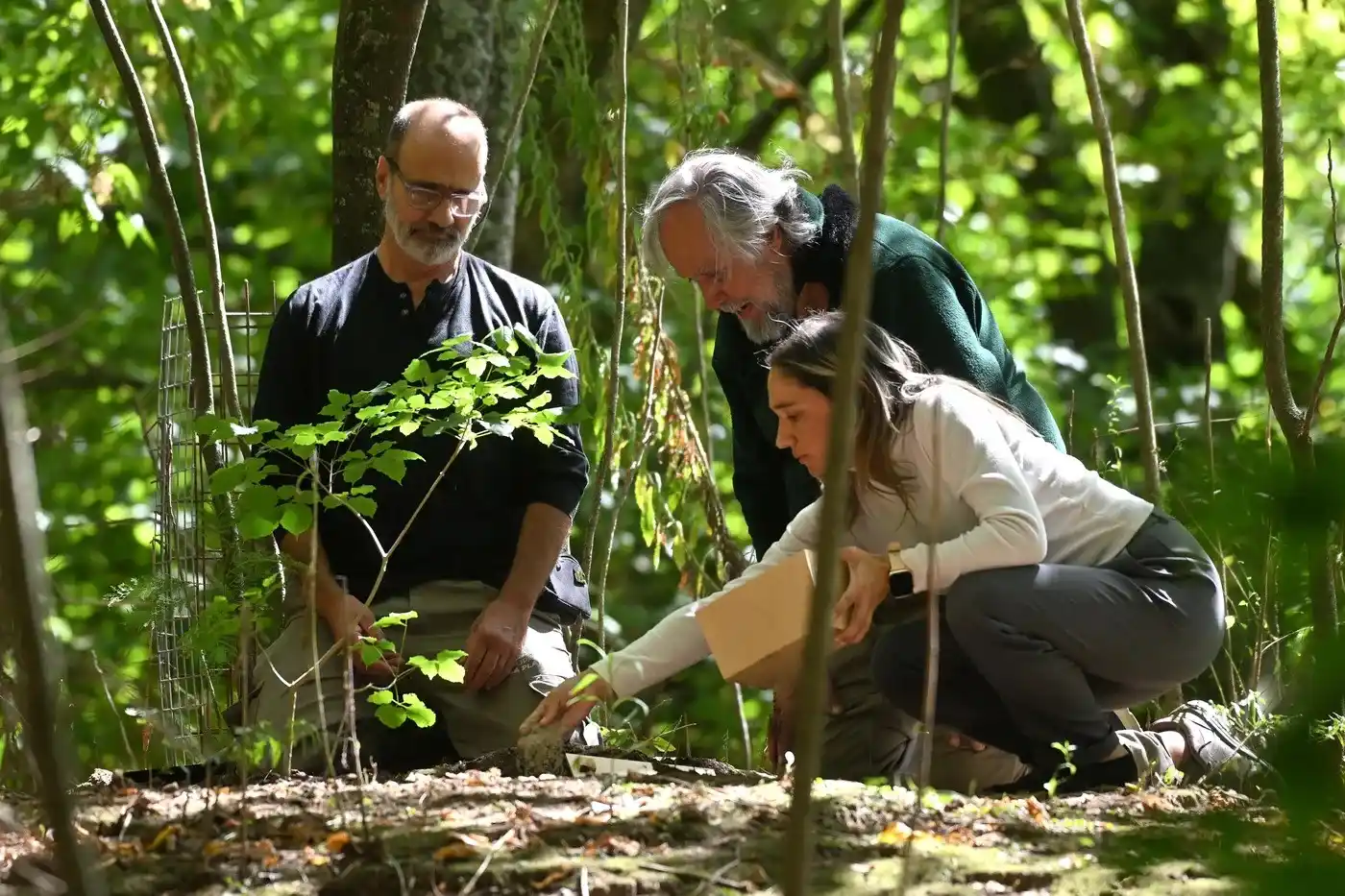 Tres cuidadores del Bioparque de La Plata participan del entierro de Tomy, el chimpancé, cuyos restos fueron colocados bajo un lapacho en un homenaje cargado de simbolismo. FOTO: 0221