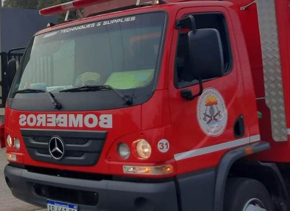 Ya fue liberado el tramo de la ruta 228 afectado por un árbol caído