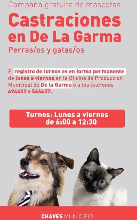 Sigue la campaña de castraciones gratuita en De La Garma