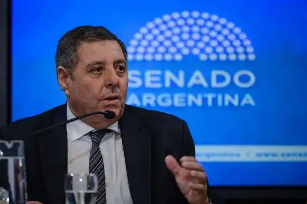 De Ángeli  reelecto en la comisión Agricultura