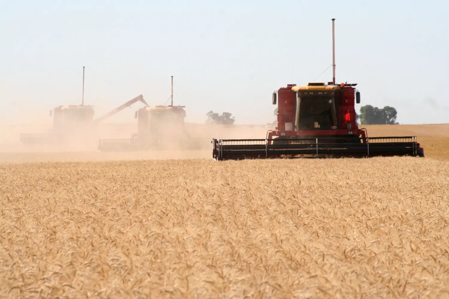 Los agronegocios, protagonistas de una novedosa jornada en Tres Arroyos
