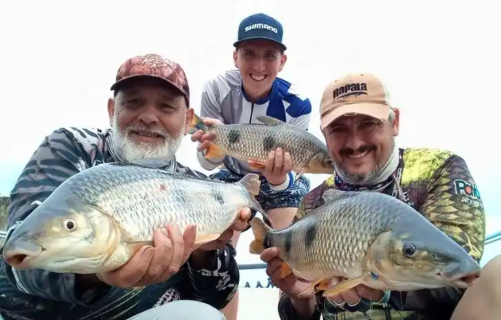 Mapa del pique: invasión de bagres