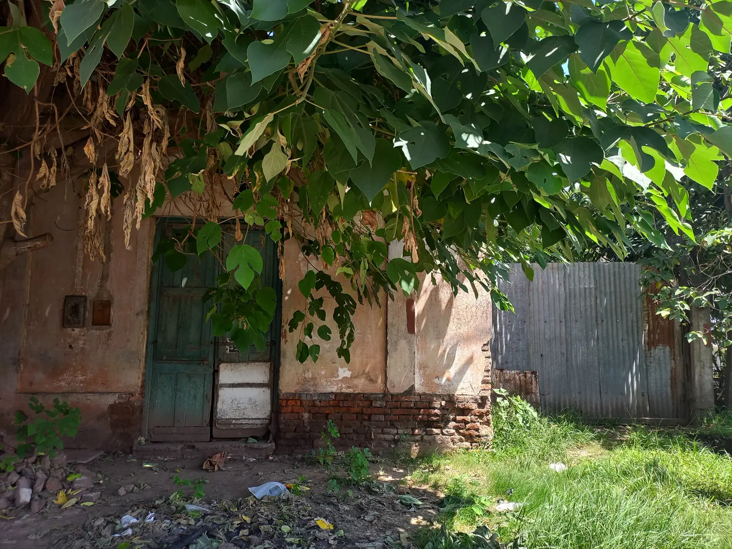 La casa del hombre atacado por sus perros.