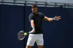 Del Potro y otro avance hacia una recuperación