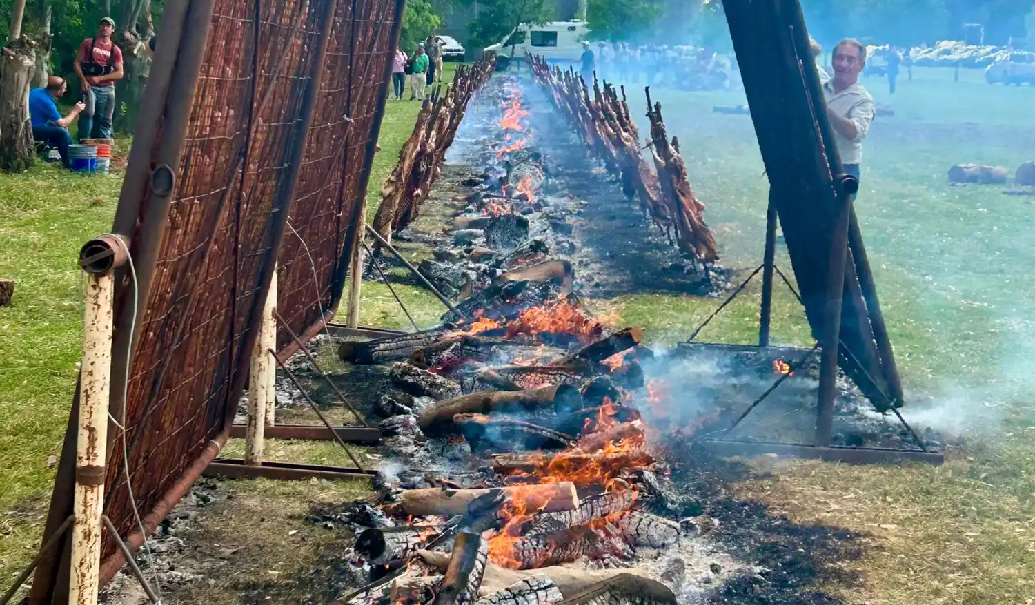 Daireaux y Arboledas