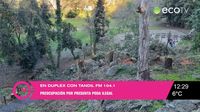 Preocupación por tala de árboles en El Calvario