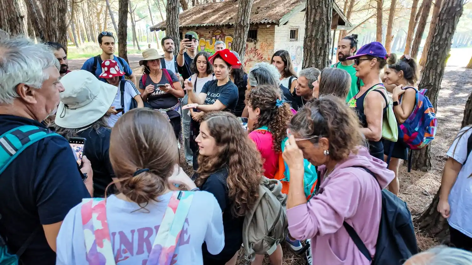 Grupo de investigación de hongos en el Parque Miguel Lillo