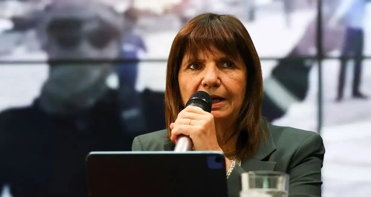 "Denunciamos a personas ligadas a servicios de inteligencia rusos", aseveró Bullrich. Foto: Archivo / REUTERS / Agustin Marcarian.