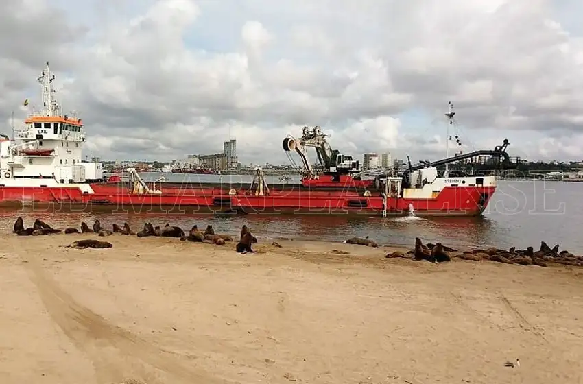 Dragado: la obra prioritaria del segundo semestre en el puerto