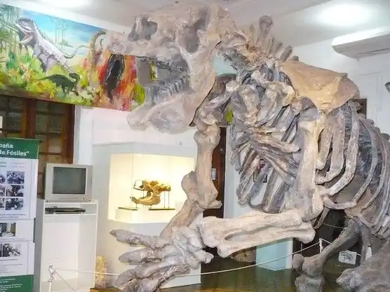 “La Noche De Las Linternas” en el museo de antropología