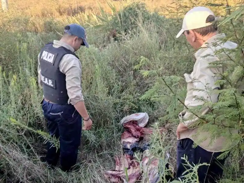 Capturaron a dos abigeos y secuestran
más de 50 kilos de carne vacuna