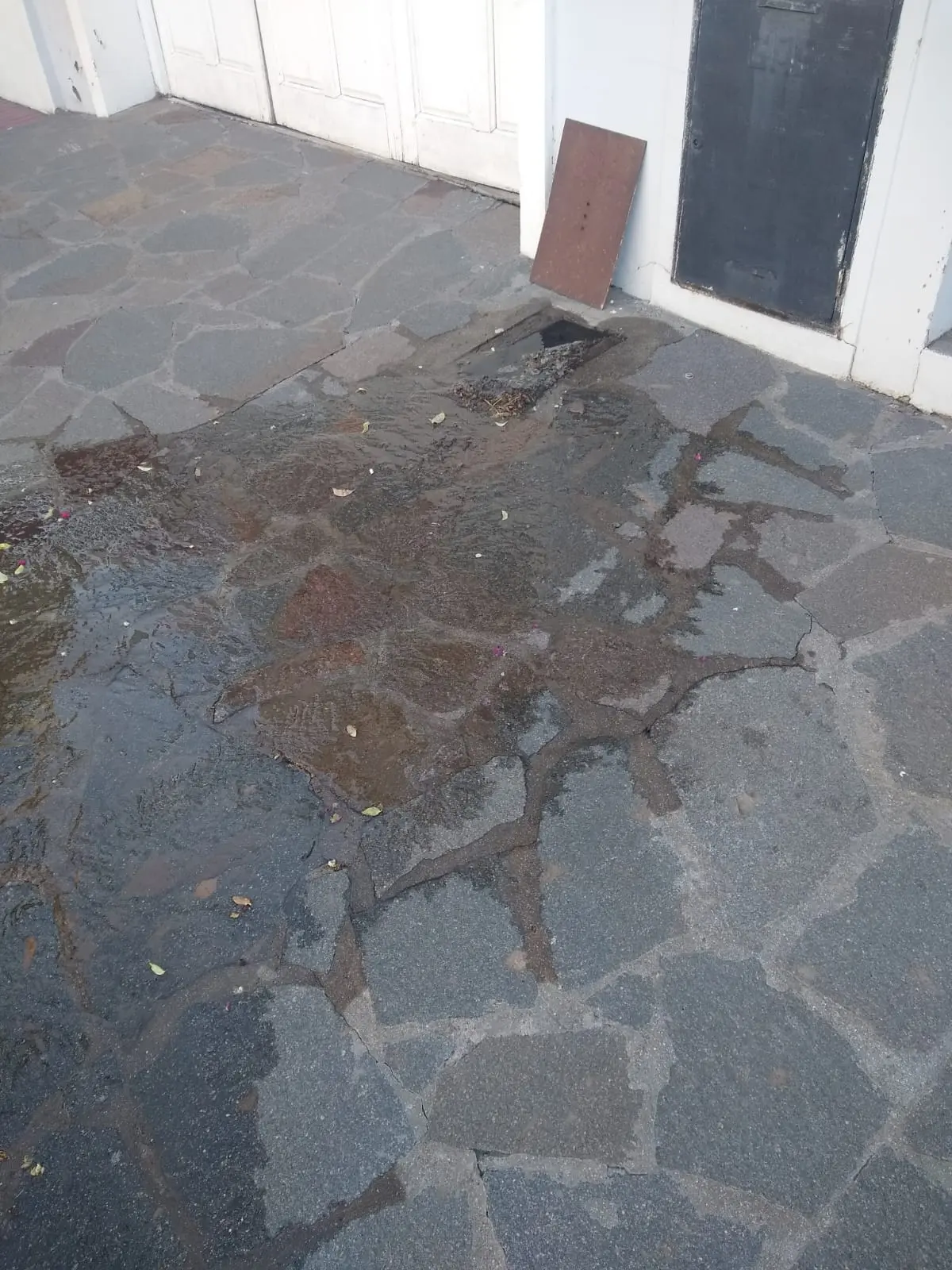 Vuelven a denunciar el robo de medidores de agua