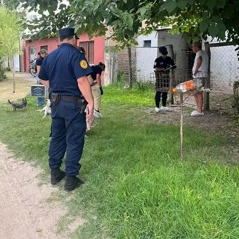 Grave hecho de violencia en Nogoyá: una mujer permanece en terapia intensiva y un hombre fue detenido