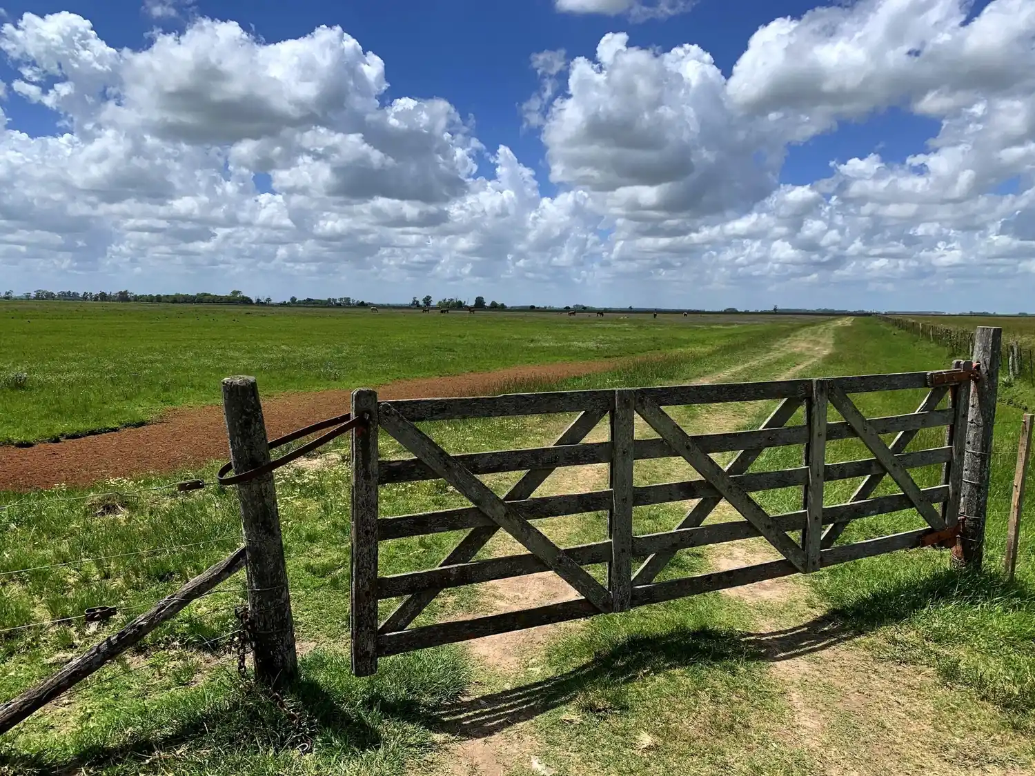 La actividad inmobiliaria rural en la Argentina alcanzó el mayor nivel de la última década