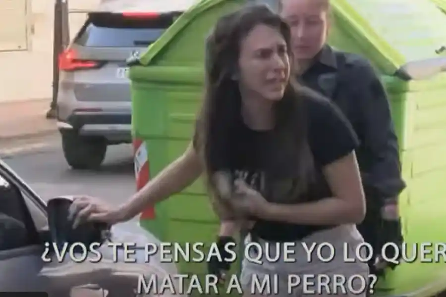 ¿Qué hacer si veo un perro encerrado en un auto como el que murió en Rosario?