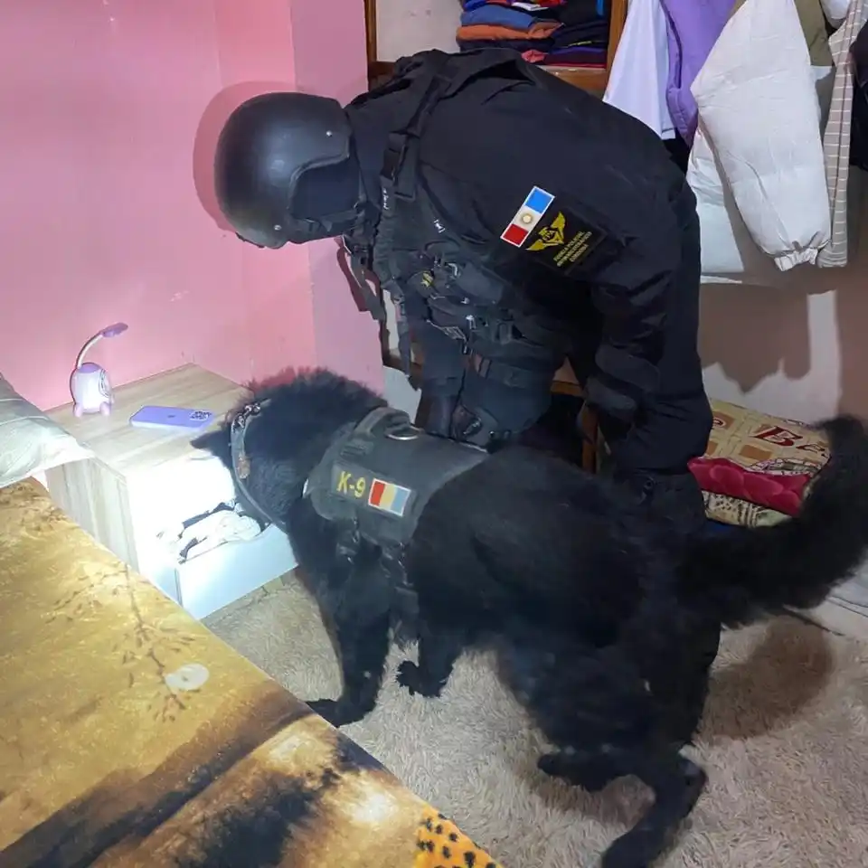 brinkmann droga hermanos y parejas