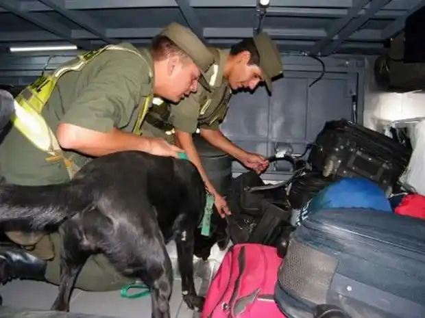 Hallan 30 kilos más de cocaína en ómnibus donde antes incautaron droga