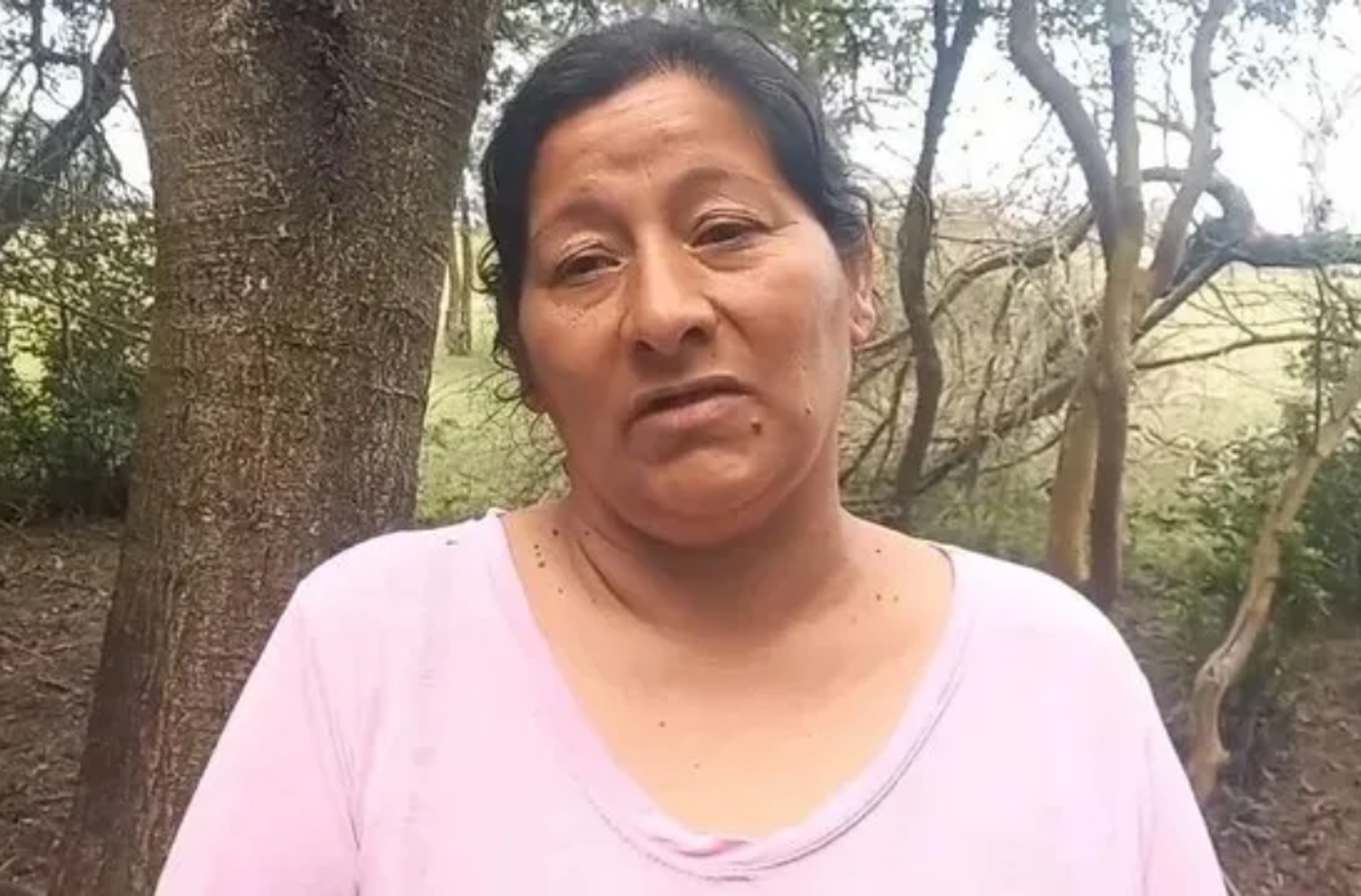 Laudelina Peña, tía de Loan, declaró que el niño fue atropellado, pero su hija contradijo la versión.