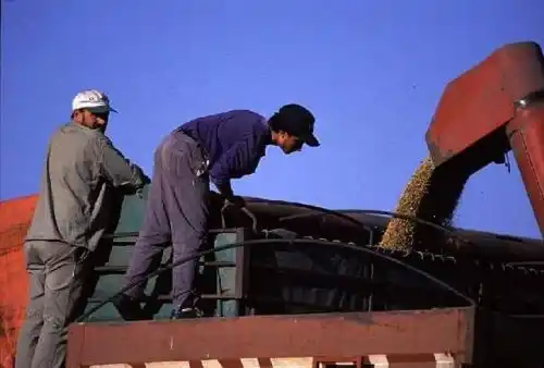 Reclamo salarial y paro