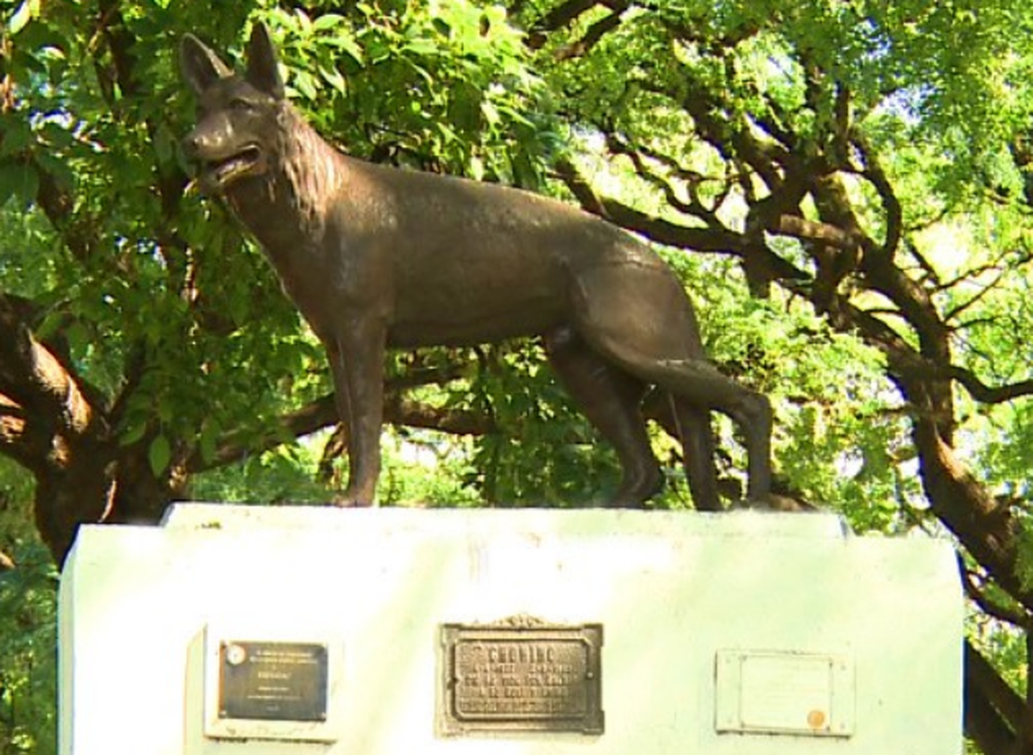 La increíble historia de Chonino, el can policía por el que se celebra el Día Nacional del Perro