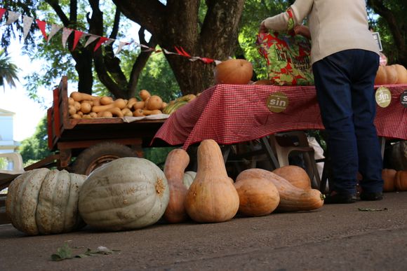 Frutos de la Tierra y el Río: el 12 de marzo, décima edición