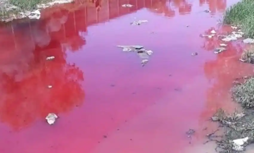 Clorinda: Piden la clausura del Frigorífico Los Valientes S.R.L.