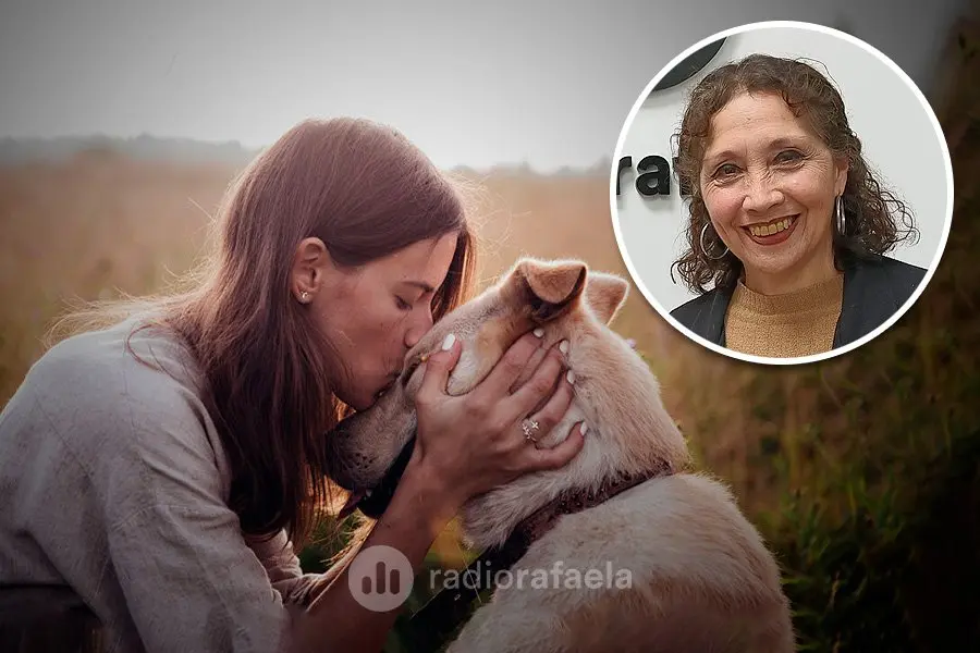 ¿Qué es Prada? El nuevo programa municipal que busca cuidar a todos los animales rafaelinos
