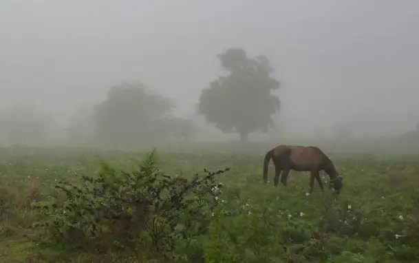 La Provincia prepara un plan de contingencia ante la llegada de El Niño: para cuando se anuncian las lluvias fuertes