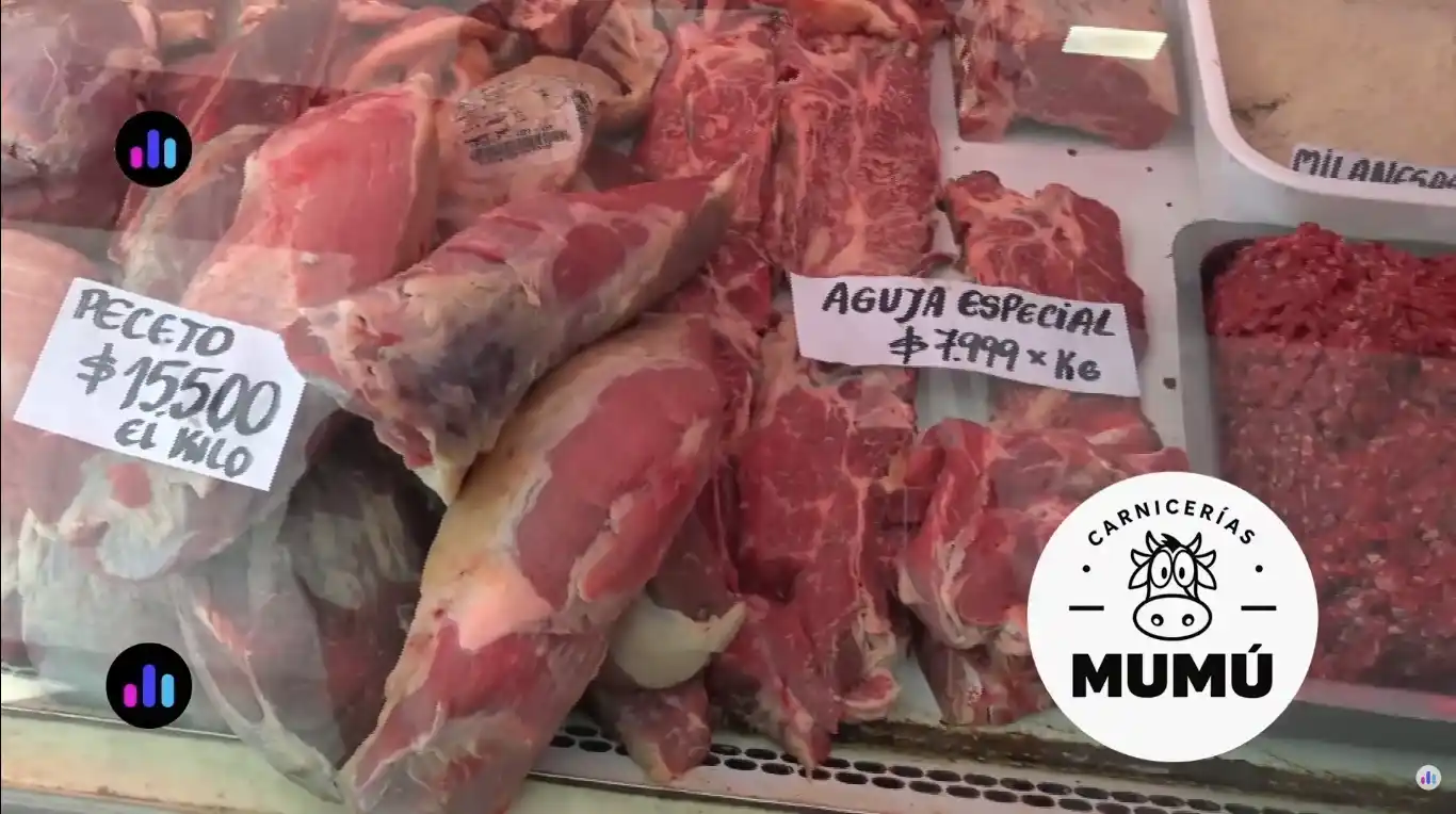 CORTES DE CARNE ECONOMICOS