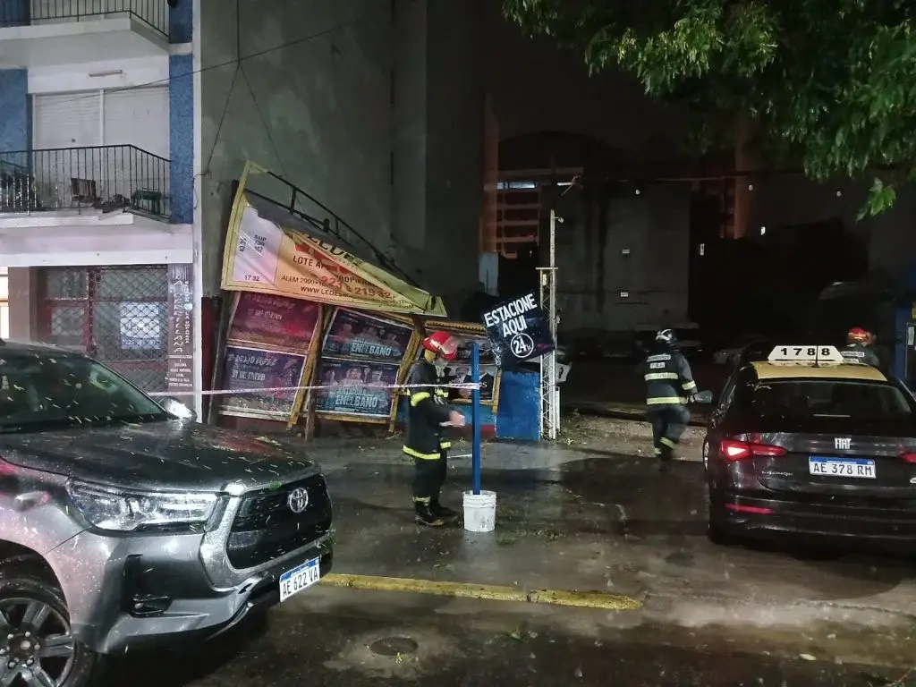 Ahora le tocó a Mar del Plata: árboles caídos y autos destrozados por el temporal