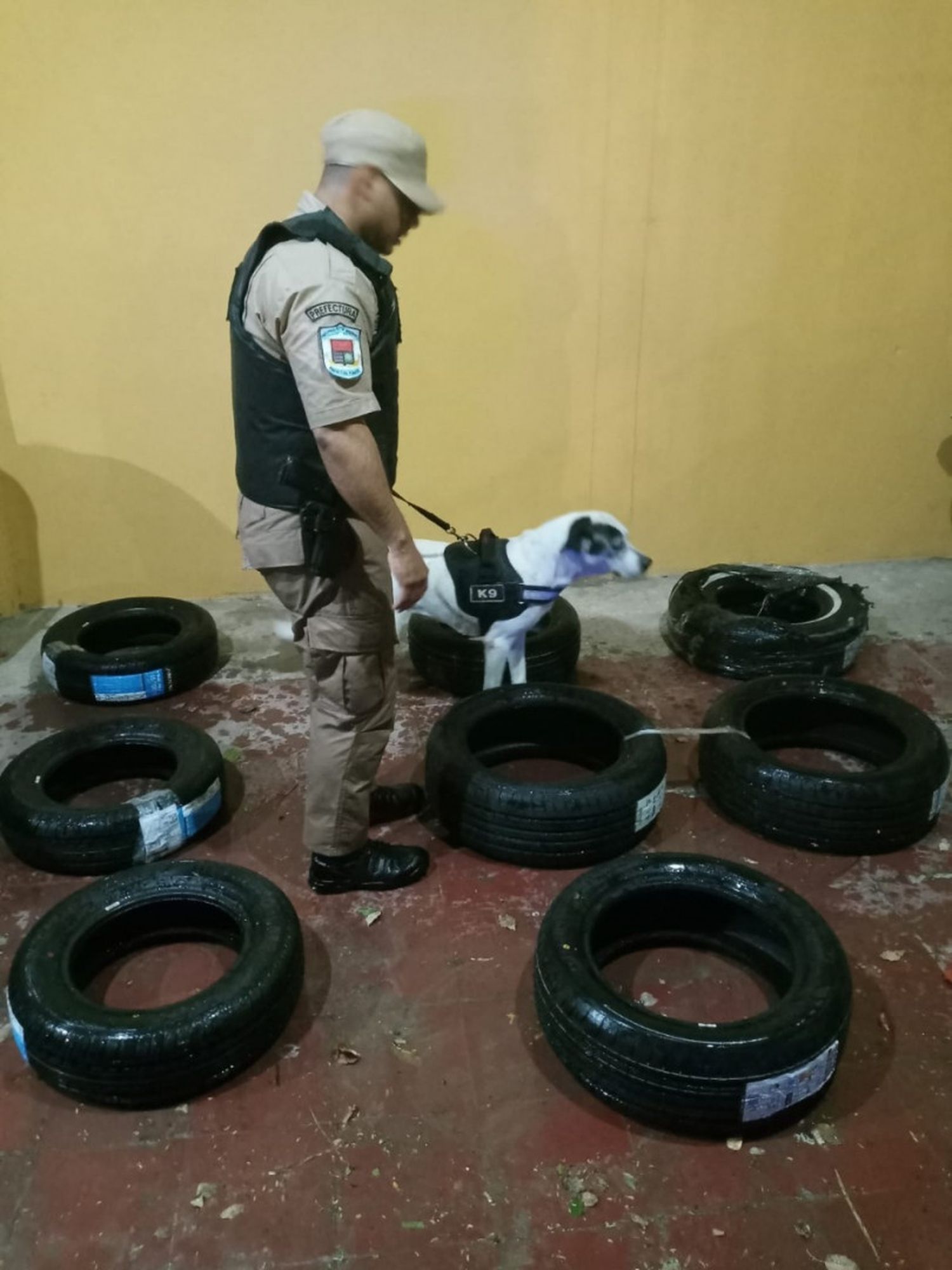 Prefectura secuestró un cargamento de cubiertas valuado en más de $2 millones