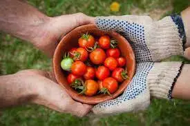 Productos Kilómetro Cero, la tendencia a consumir ecológico, orgánico, de proximidad, de temporada y local