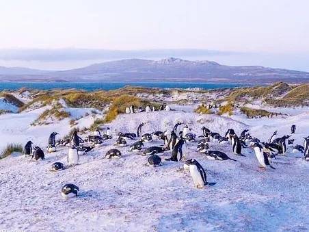 Malvinas y la nueva disputa estratégica por el Atlántico Sur