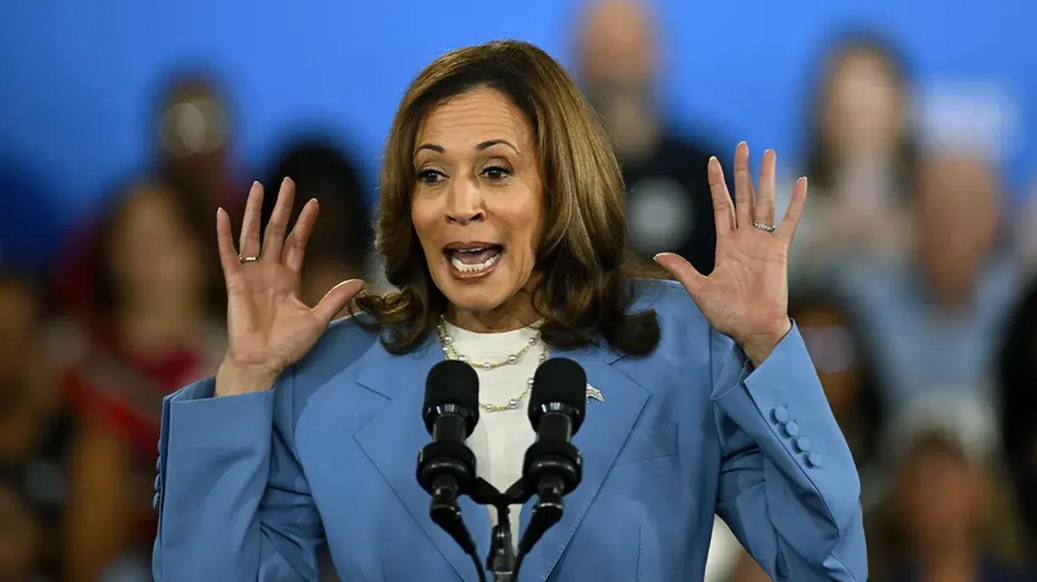 Vice President Harris unveiled her economic plan Friday in North Carolina.