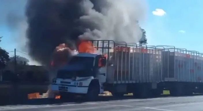 Se incendió un camión en Ruta 12
