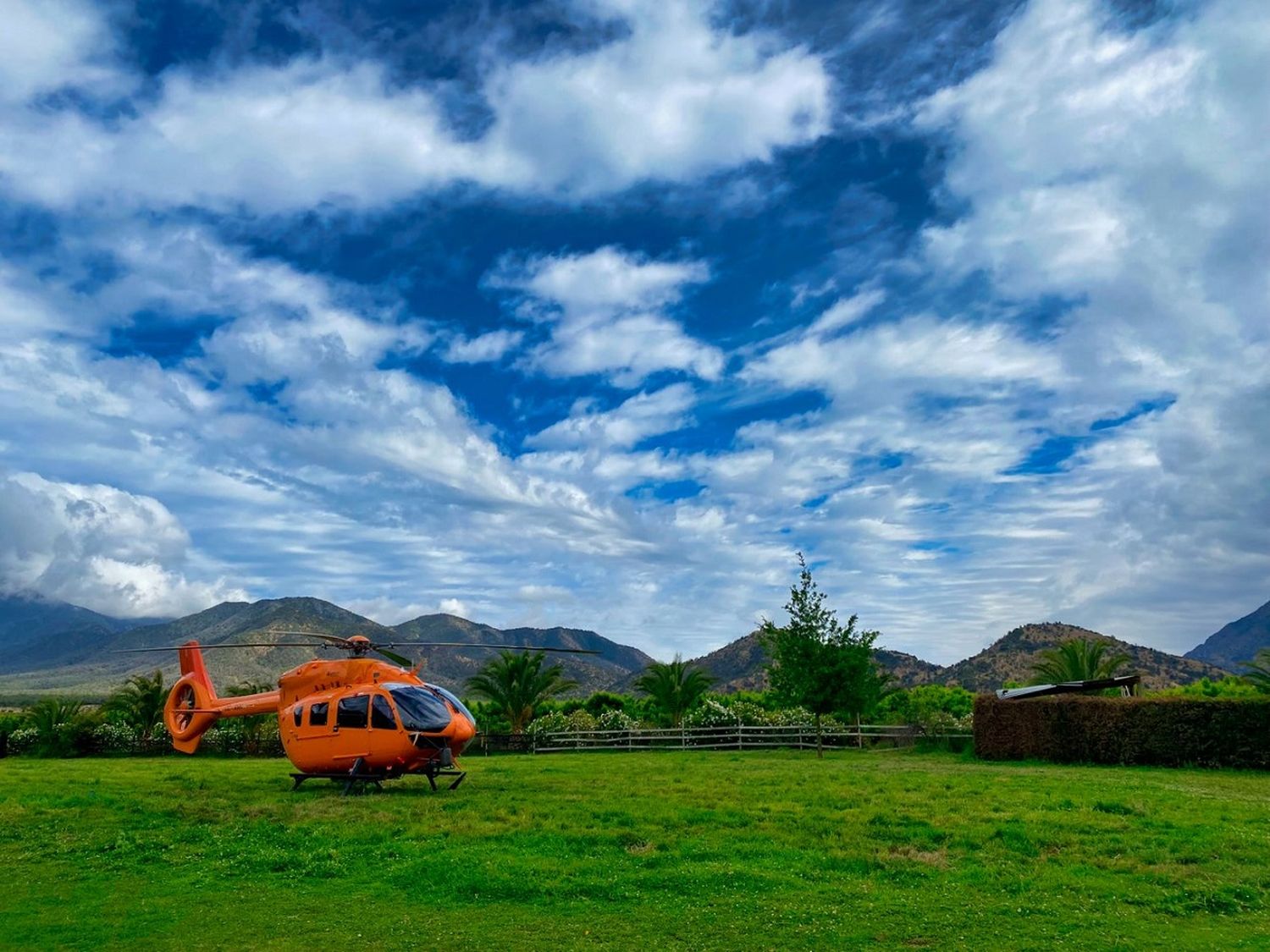 Chile: Ecocopter realiza vuelos de secado de cerezas de exportación para evitar pérdidas por lluvias