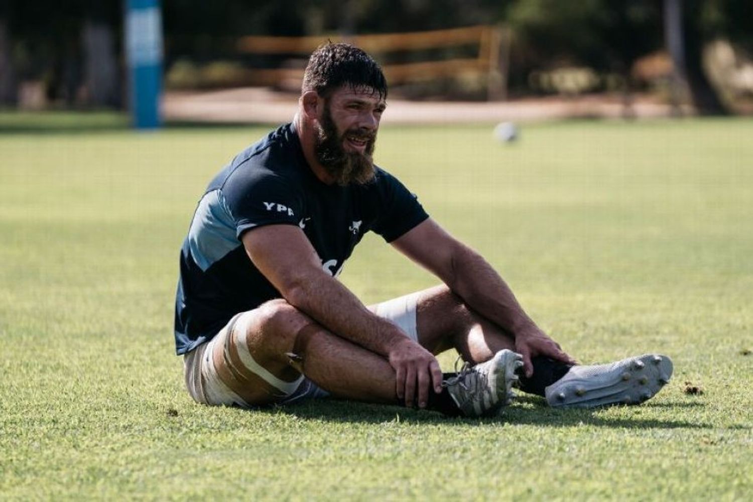 Cheika rota jugadores para el último amistoso de Los Pumas