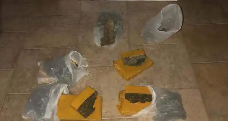 Desbaratan banda narco que actuaba en la zona