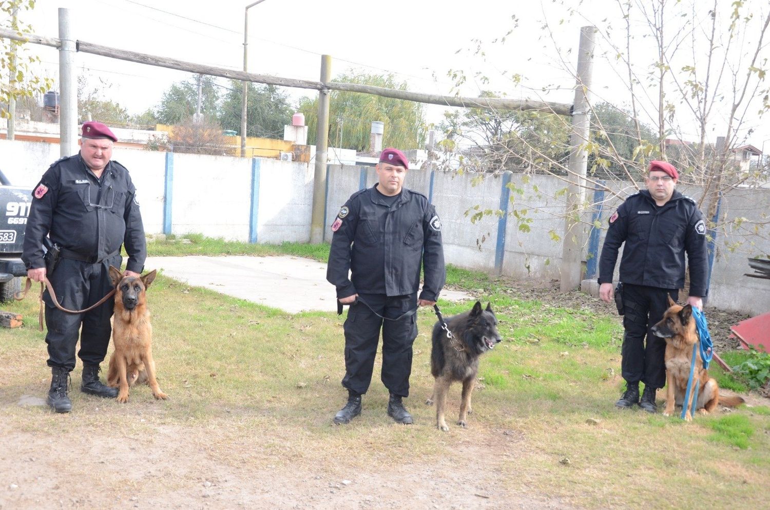 Exponentes de la Sección Canes de la Unidad Regional VIII.