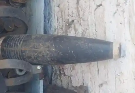 La encargada que les manifestó que pensó que "era inofensiva".