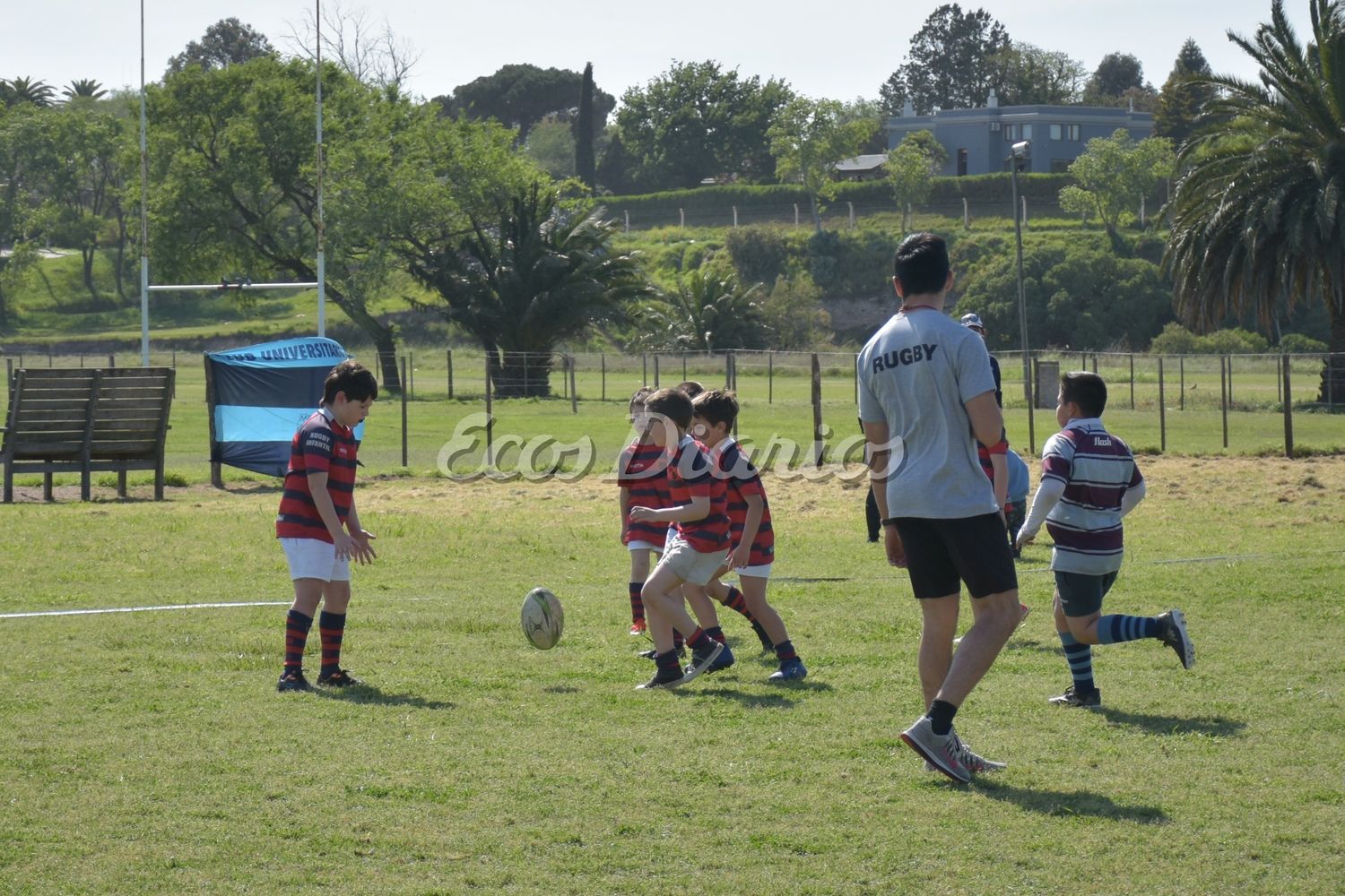 Encuentro de infantiles en el Club Náutico 2