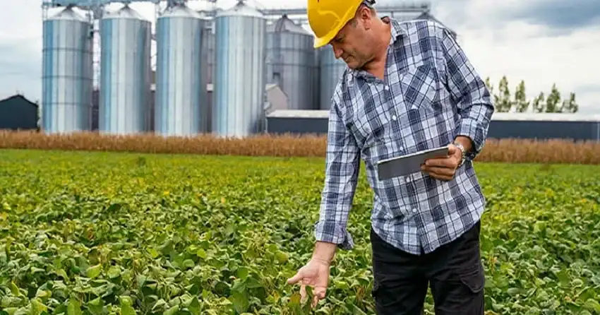 Bunge dejará de producir compuestos químicos - 3