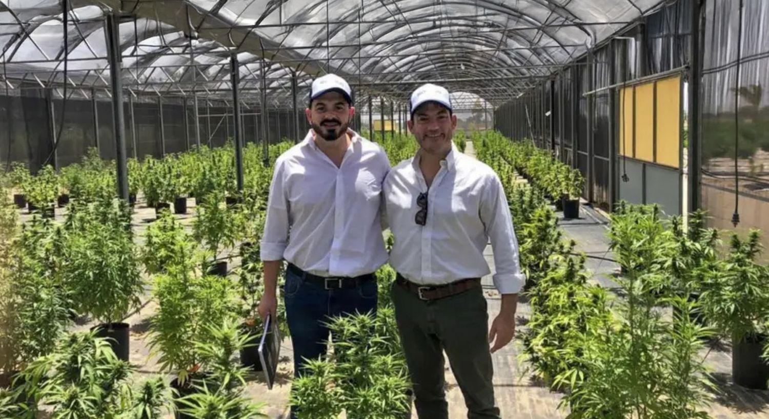 FlowerCann: El proyecto impulsado por un sampedrino que apuesta por el cannabis medicinal y cáñamo industrial