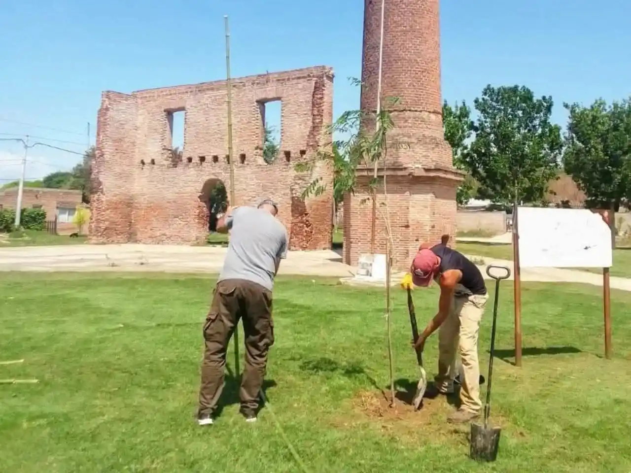 Diamante implementa el Programa “Arbolado Urbano” para embellecer y mejorar su entorno natural