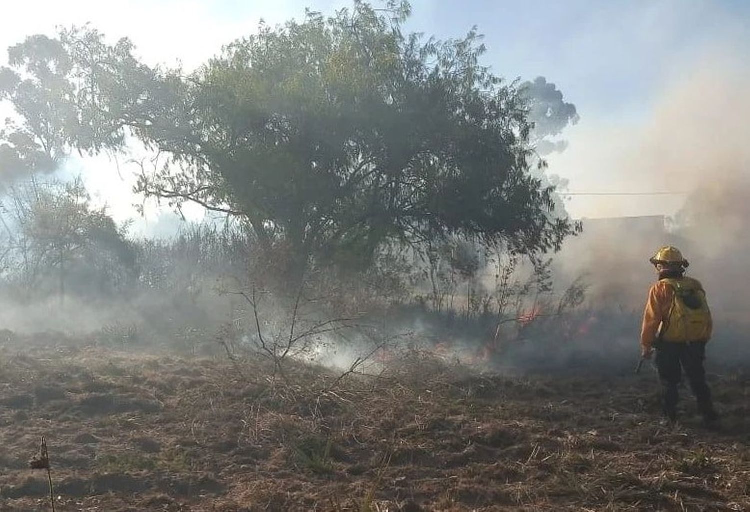 Continúa el intenso trabajo para combatir incendios en islas del Delta y en el resto de la provincia